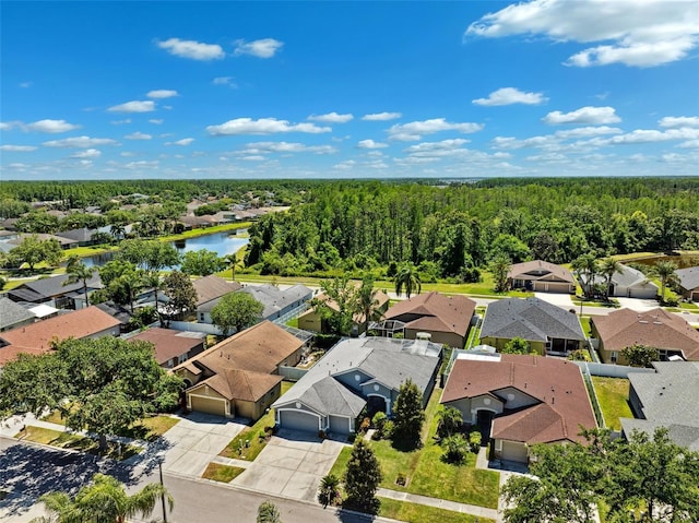 19750 Ellendale Dr, Land O Lakes, FL 34638 - aerial perspective of suburban area featuring a forest and a nearby body of water