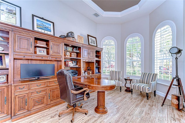 3212 Sunset Lakes Blvd, Land O Lakes, FL 34638 - home office with light wood finished floors, a raised ceiling, healthy amount of natural light, crown molding, and baseboards