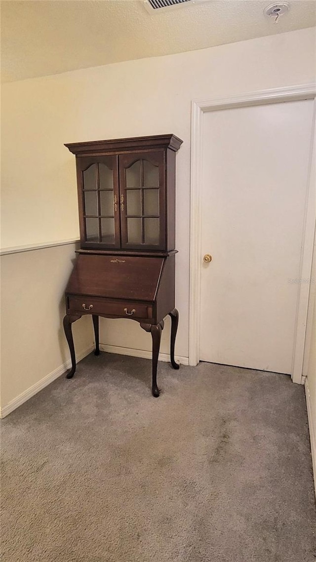 2213 Fluorshire Dr, Brandon, FL 33511 - detailed view of carpet floors and baseboards