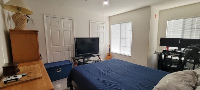 2213 Fluorshire Dr, Brandon, FL 33511 - carpeted bedroom featuring multiple windows, a closet, and a textured ceiling