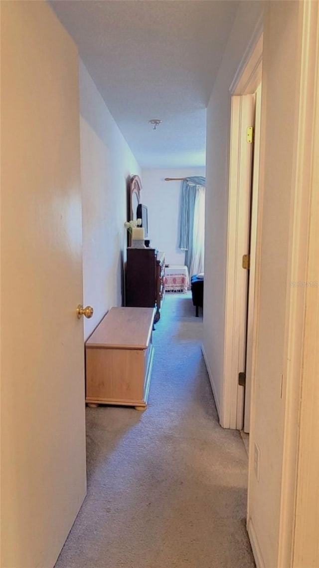 2213 Fluorshire Dr, Brandon, FL 33511 - hallway with carpet