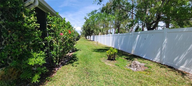 2213 Fluorshire Dr, Brandon, FL 33511 - view of yard