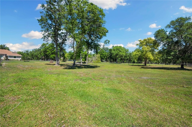 view of yard