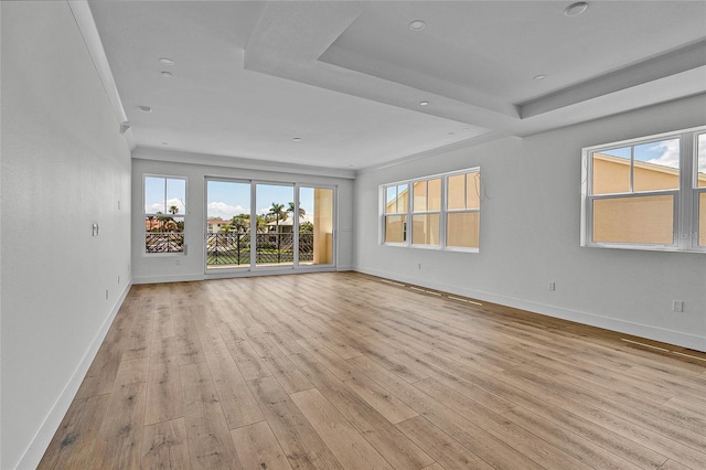 empty room featuring baseboards, a raised ceiling, a healthy amount of sunlight, and light wood-style flooring