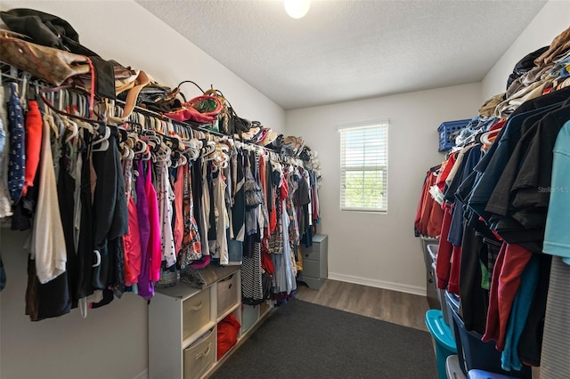 10101 Mangrove Well Rd, Ruskin, FL 33573 - spacious closet with wood finished floors