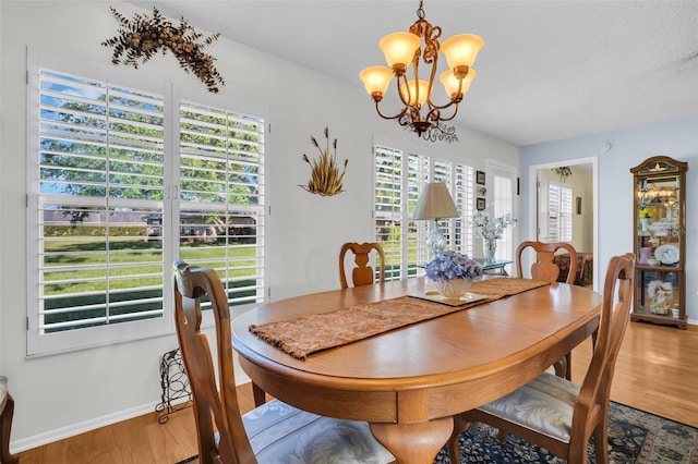 4819 Boonesboro Ct, New Port Richey, FL 34655 - dining area featuring baseboards, an inviting chandelier, and wood finished floors