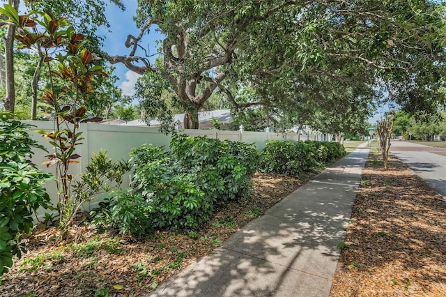 202 S Hesperides St, Tampa, FL 33609 - view of community