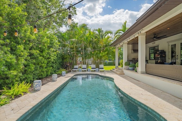 2501 S Dundee St, Tampa, FL 33629 - view of swimming pool featuring a patio