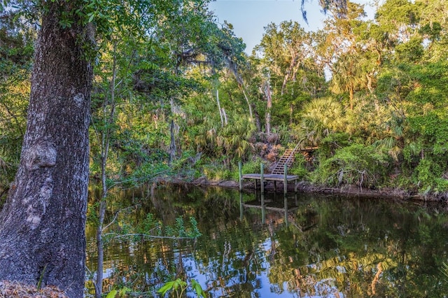 view of water feature featuring a forest view