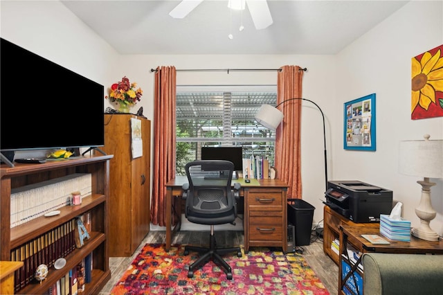 office featuring a ceiling fan and light wood-style floors