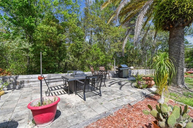 11383 Pickford St, Spring Hill, FL 34609 - view of patio / terrace featuring outdoor dining space and area for grilling