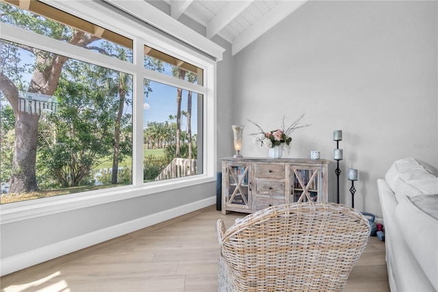 5559 Escondida Blvd S, Saint Petersburg, FL 33715 - photo 29