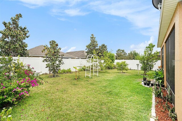 11818 Valhalla Woods Dr, Riverview, FL 33579 - view of yard
