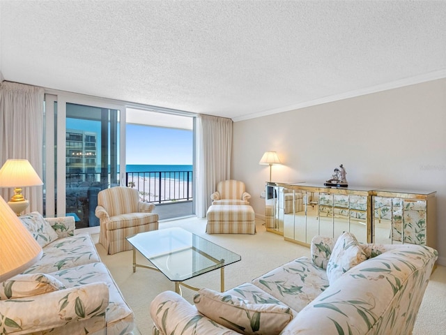 1400 Gulf Blvd Unit 511, Clearwater Beach, FL 33767 - living area featuring a water view, a textured ceiling, crown molding, and carpet floors
