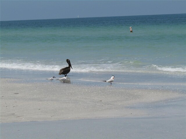 1400 Gulf Blvd Unit 511, Clearwater Beach, FL 33767 - water view