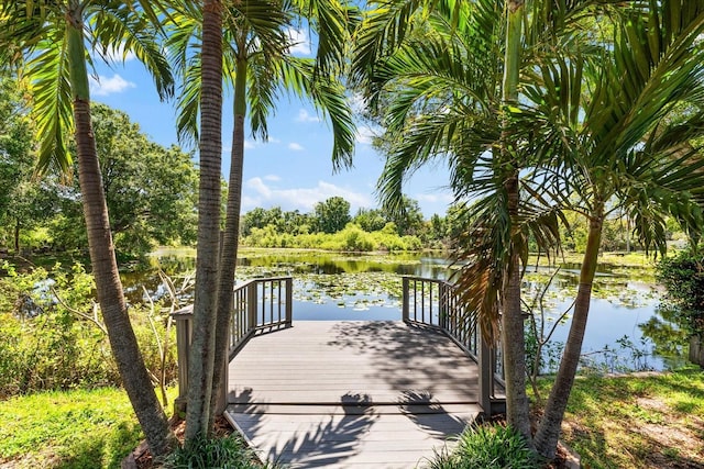 dock area with a water view