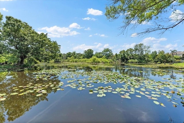 water view