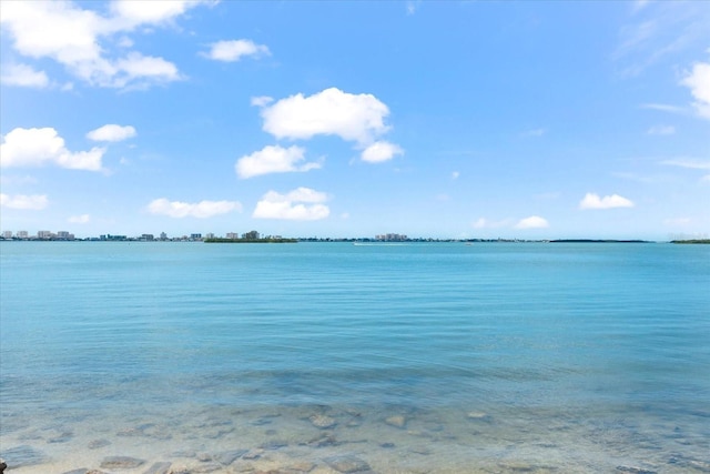 1232 Sedeeva Cir S, Clearwater, FL 33755 - water view