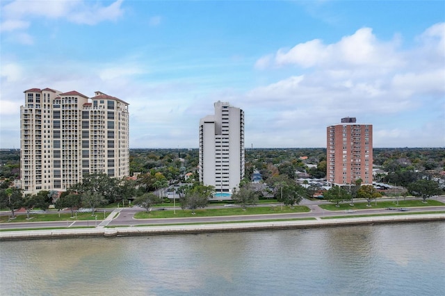 view of water feature with a city view