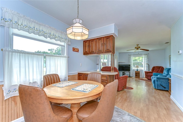 dining room with light wood-style floors and ceiling fan