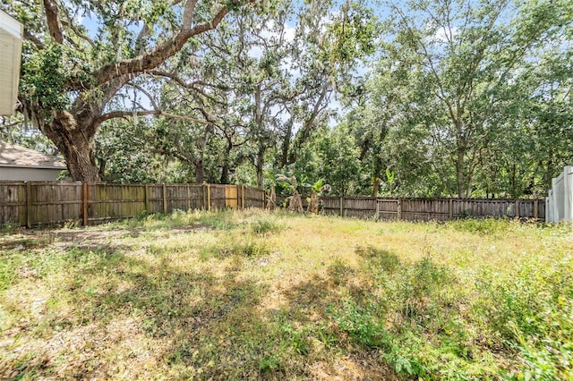 1524 Marsh Wood Dr, Seffner, FL 33584 - photo 23