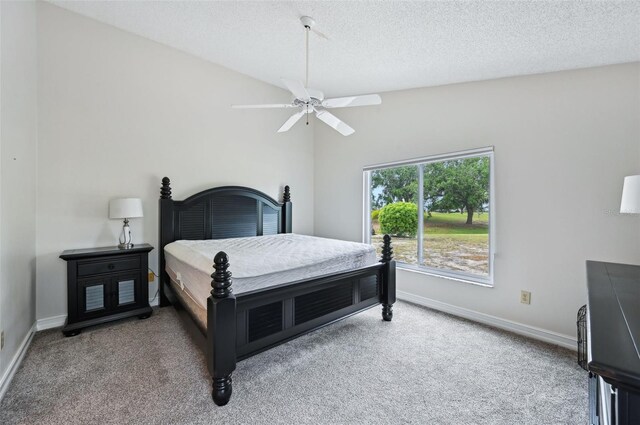 336 Northway Dr, Sun City Center, FL 33573 - photo 18