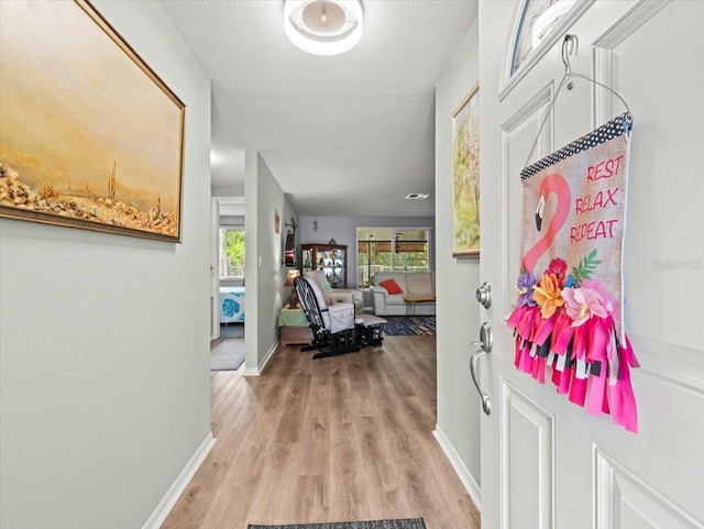 16116 Manorwood Cir, Tampa, FL 33624 - foyer featuring light wood-type flooring, a textured ceiling, baseboards, and a healthy amount of sunlight