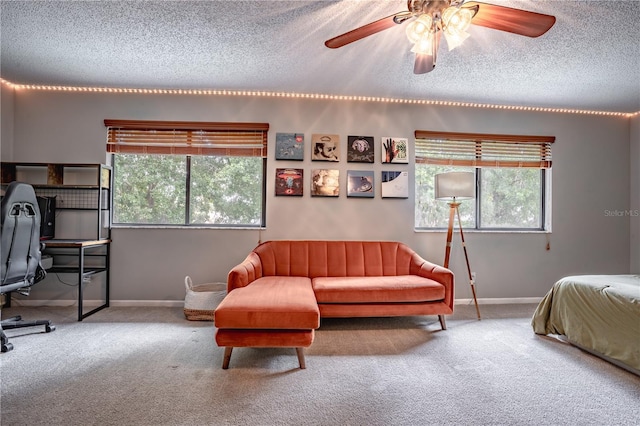 1916 River Crossing Dr, Valrico, FL 33596 - carpeted bedroom with ceiling fan, baseboards, and a textured ceiling