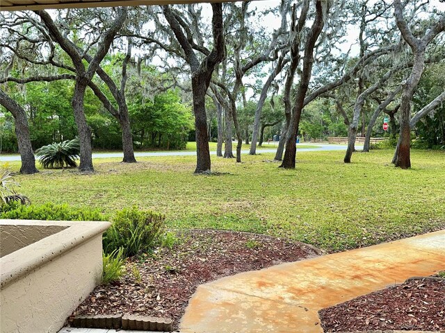 10206 Lakeview Dr, New Port Richey, FL 34654 - photo 48