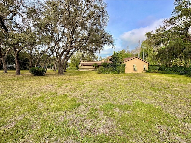 10206 Lakeview Dr, New Port Richey, FL 34654 - photo 49