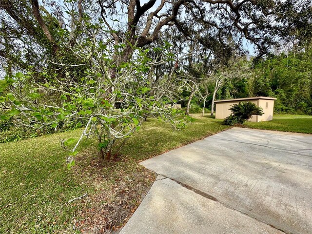 10206 Lakeview Dr, New Port Richey, FL 34654 - photo 51