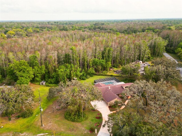 10206 Lakeview Dr, New Port Richey, FL 34654 - photo 55