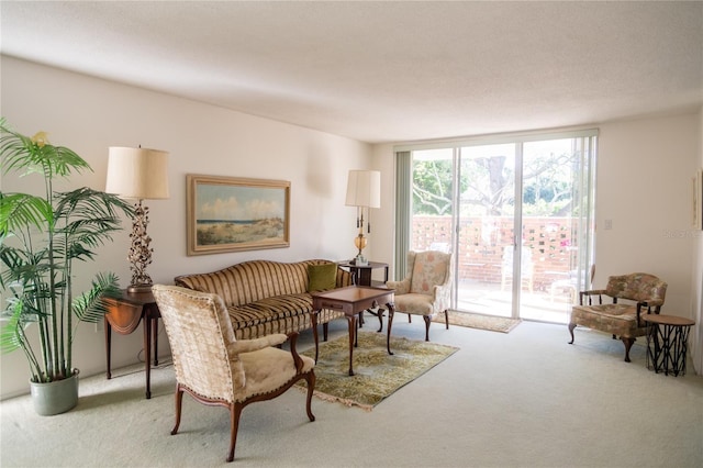 2630 Pearce Dr Unit 104, Clearwater, FL 33764 - carpeted living room featuring expansive windows