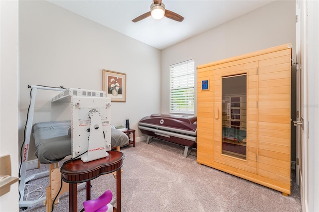 living area featuring ceiling fan, carpet floors, and baseboards