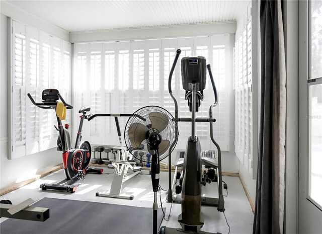 workout room featuring a wealth of natural light