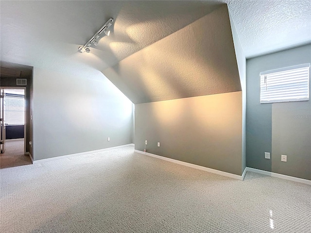 additional living space featuring a wealth of natural light, carpet floors, and a textured ceiling