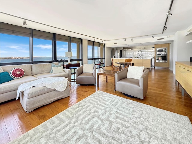 living room with hardwood / wood-style flooring and rail lighting