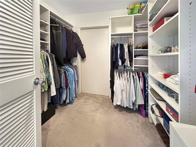 walk in closet with carpet flooring