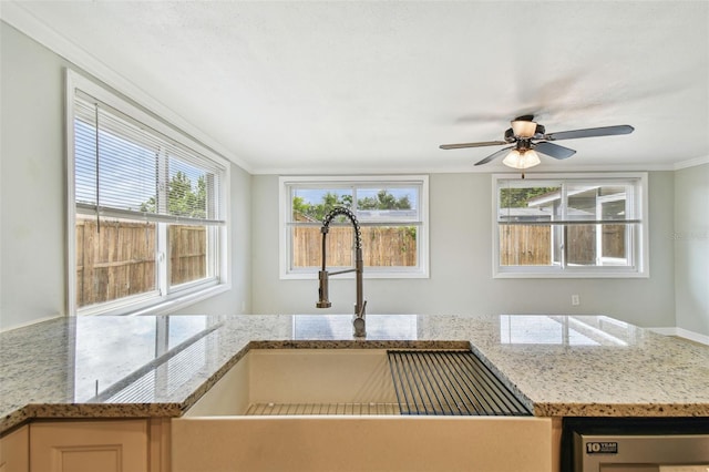 kitchen with a sink, ceiling fan, dishwasher, light stone counters, and ornamental molding
