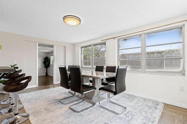 3654 Warbler Dr, New Port Richey, FL 34652 - dining space featuring baseboards and a textured ceiling