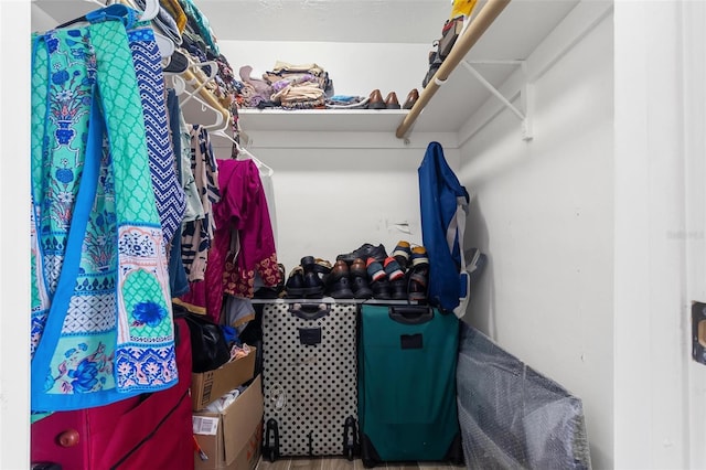 3654 Warbler Dr, New Port Richey, FL 34652 - view of spacious closet