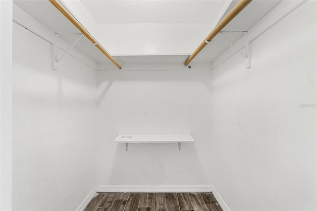 3654 Warbler Dr, New Port Richey, FL 34652 - spacious closet with dark wood-type flooring