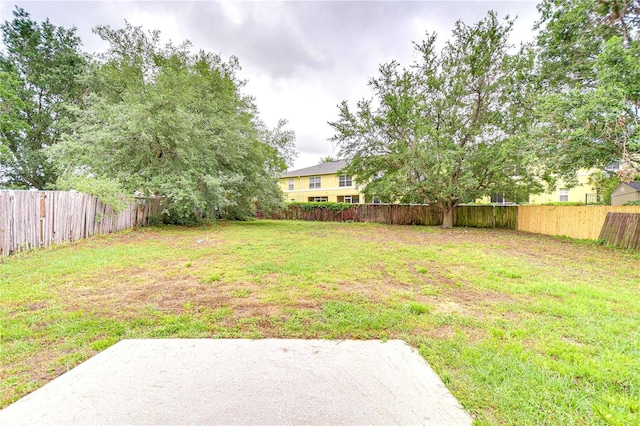 538 Summer Sails Dr, Valrico, FL 33594 - view of yard with a patio and a fenced backyard