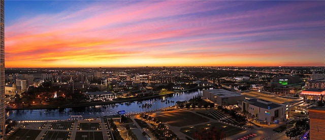 520 N Tampa St Unit 1508, Tampa, FL 33602 - property's view of city with a water view