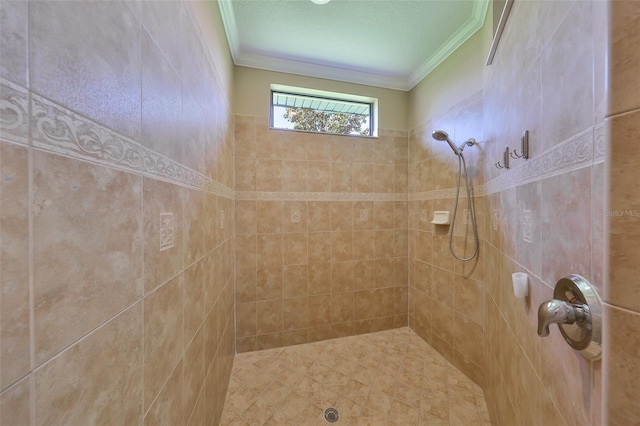 336 Silver Falls Dr, Apollo Beach, FL 33572 - bathroom featuring crown molding and a tile shower
