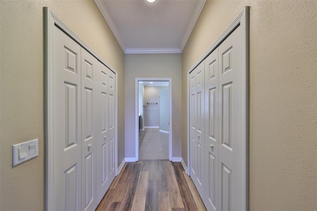 336 Silver Falls Dr, Apollo Beach, FL 33572 - corridor featuring dark wood-style floors and ornamental molding