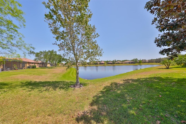 336 Silver Falls Dr, Apollo Beach, FL 33572 - property view of water