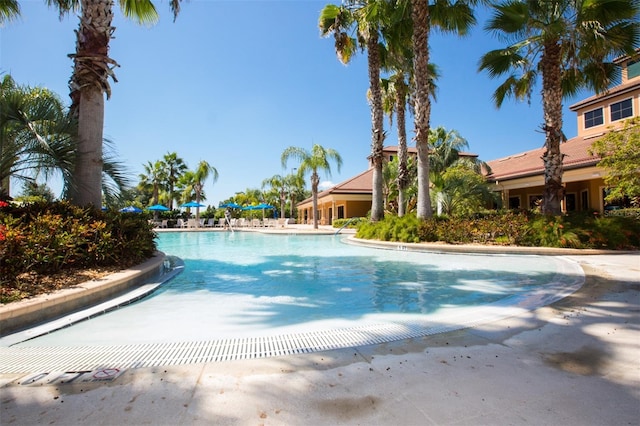 336 Silver Falls Dr, Apollo Beach, FL 33572 - view of community pool