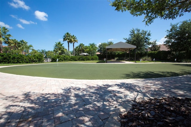 336 Silver Falls Dr, Apollo Beach, FL 33572 - view of property's community