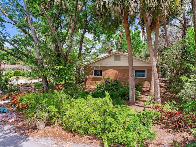 402 S Barbara Ln, Tampa, FL 33609 - photo 4